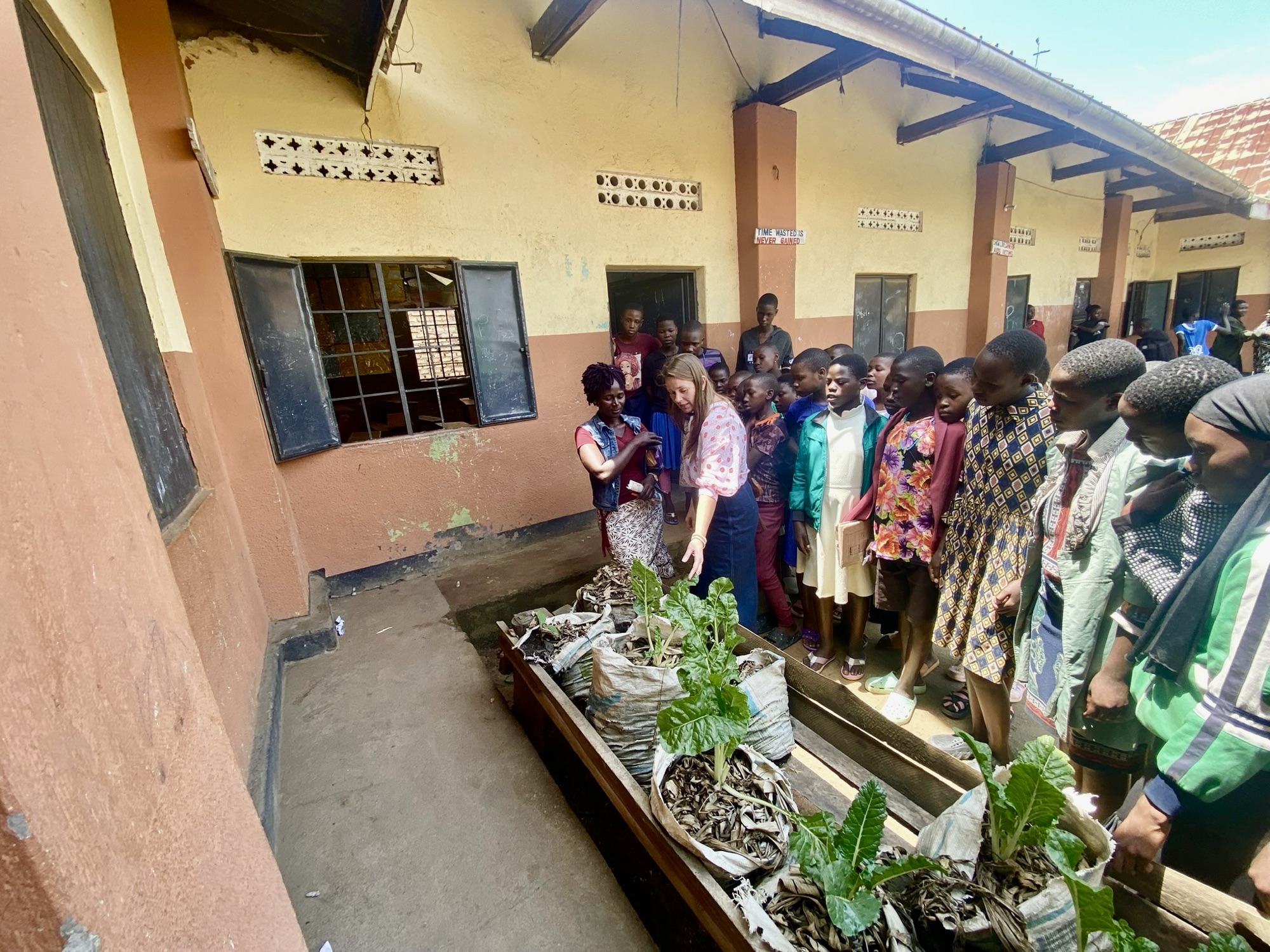 Students crowd around raised sack gardens growing leafy greens during a permaculture lesson in the school courtyard